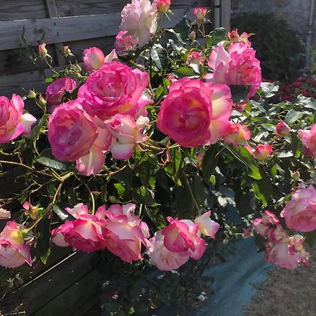 Grand-Fougeray Les Hortensias מראה חיצוני תמונה